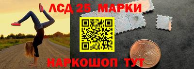 шишки Кандалакша