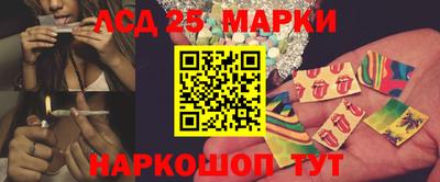 шишки Кандалакша