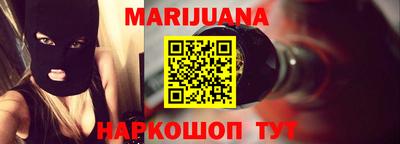шишки Кандалакша